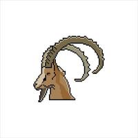 Ibex head in pixel art. Vector illustration.