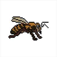 Honey bee pixel art.  Vector illustration.