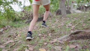 Chiuda in su delle gambe delle donne che fanno un'escursione su terreno ripido al rallentatore. scarpe da ginnastica da corsa, piedi di donna che seguono all'interno della foresta all'aperto, trekking attraverso la foresta tropicale boschiva, viaggi avventurosi, inseguimento della fotocamera video