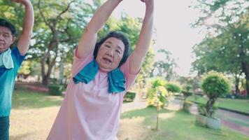 Asian elderly people doing group stretching warm up exercise inside the park, over head arm extension stretch, senior health care insurance, outdoor activities, vitality wellness fitness instructor video