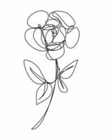 rose Flower  ,line drawing style,  art design vector