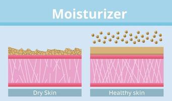 Moisturizer, dry skin and healthy skin, vector design.