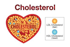 colesterol en la arteria, riesgo para la salud, diseño vectorial vector