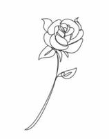 flor de rosa, estilo de dibujo lineal, diseño de arte vector