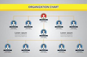 Organization Chart Infographics with People Icon and Abstract Line, Business Structure. vector