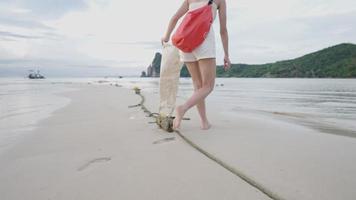 asiatische junge frau holt müll am meer, inselstrand während der reise, allein am strand spazieren, freiwillige müllabfuhr aus plastikmüll. Umweltschutz der globalen Erwärmung video
