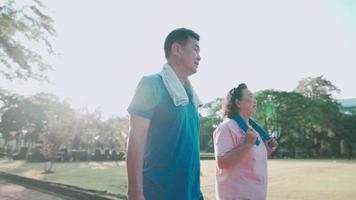 Asian middle age couple taking a walk inside public park, healthy retirement lifestyle, relationship happy family, experienced mature couple warm up exercises, family outdoor relaxing activity video