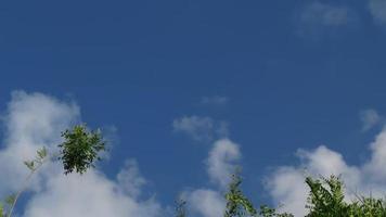 lapso de tiempo del cielo azul con nubes desintegrándose en el campo video