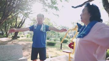 dois idosos asiáticos ativos fazendo exercícios de alongamento de braços dentro do parque em dia ensolarado, vida de aposentadoria saudável, família passando tempo juntos atividades de lazer ao ar livre, boa circulação sanguínea video