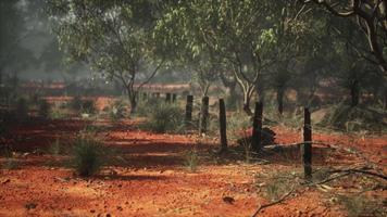 Detail of old rural fencing with shallow focus video