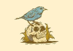 Skeleton head and bird vintage illustration drawing vector