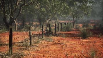 Old rural barbed wire fence with wooden posts video