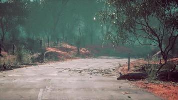 balisage rectiligne longeant une forêt haute video