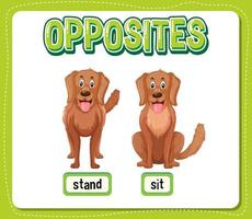 Opposite words for stand and sit vector