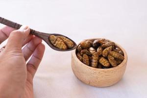 pupa de gusano de seda como insectos comestibles de alimentos ricos en proteínas en arco de madera con fondo blanco foto