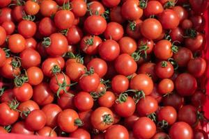 Fresh red tomato fruits background. photo
