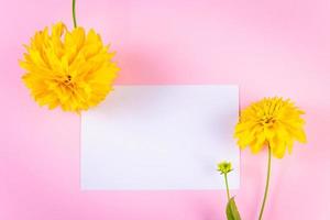 Blank greeting card and yellow flower on pink background. Summer concept. Trendy minimalism. photo