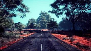 balisage rectiligne longeant une forêt haute video