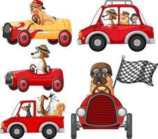 perros en diferentes autos rojos vector