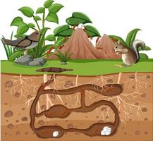 Underground animal hole in cartoon style vector