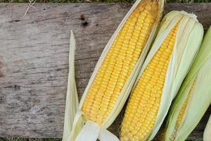 Top view of fresh corn on cobs on rustic wooden with Copyspace photo