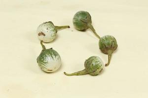 Eggplant is one of the vegetables in the form of fruit. Fruit-producing plants used as vegetables. Green eggplant is round and mini has a different taste from other eggplants. photo