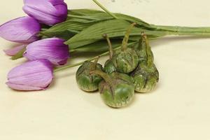 Eggplant is one of the vegetables in the form of fruit. Fruit-producing plants used as vegetables. Green eggplant is round and mini has a different taste from other eggplants. photo