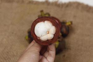 Mangosteen is a tropical fruit from Asia. Mangosteen has a distinctive sweet and sour taste. Mangosteen also has a myriad of benefits, properties, and nutritional content that is useful for health. photo
