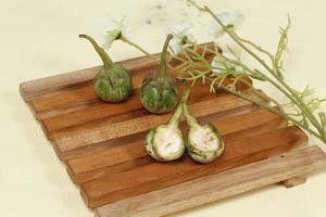 Eggplant is one of the vegetables in the form of fruit. Fruit-producing plants used as vegetables. Green eggplant is round and mini has a different taste from other eggplants. photo