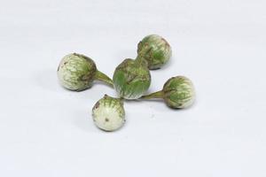 Eggplant is one of the vegetables in the form of fruit. Fruit-producing plants used as vegetables. Green eggplant is round and mini has a different taste from other eggplants. photo