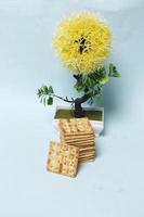 Roma biscuits served with coffee, perfect for relaxing. Foods made from wheat are able to delay hunger and also for breakfast in the morning. 'biscuit' from Latin,  bis coctus which means twice. photo