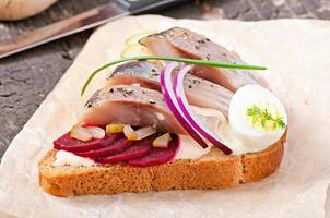 Sandwich of rye bread with herring, beets, onions and egg photo