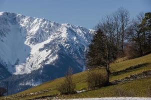 mountains with green and snow photo