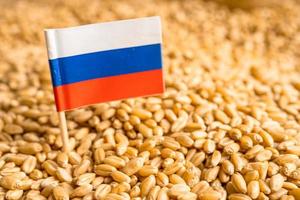granos de trigo con bandera rusa, exportación comercial y concepto económico.