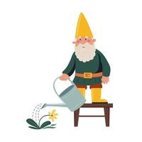 Garden gnome or dwarf is watering the flower vector