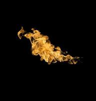 Fire flames on a black background photo