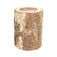 Cross section of tree trunk isolated on white background photo