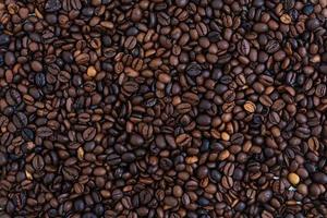 Mixture of different kinds of coffee beans. Coffee background photo