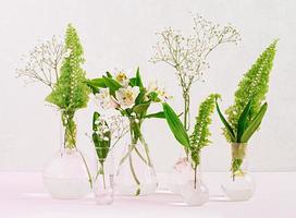Flowers and plants in flask. Beautiful spring background with flowers in vase. photo