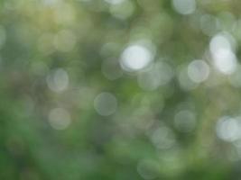 bokeh blurred out of focus background photo