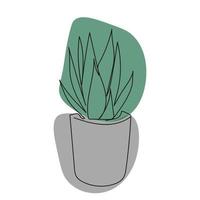 minimalistic illustration one line houseplant succulents vector