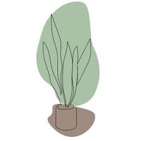 ilustración minimalista una línea planta de interior sansevieria vector