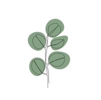 minimalistic illustration one line sprig of eucalyptus vector