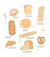 conjunto con productos de panadería. baguette, ciabatta, pretzel, brioche.colorida ilustración vectorial aislada en fondo blanco. varios tipos de pasteles dulces. vector