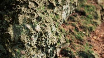 primo piano di formazione di pietre rocciose video