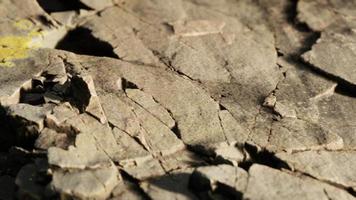 primo piano di formazione di pietre rocciose video