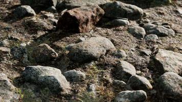 cerca de la formación de piedras rocosas video