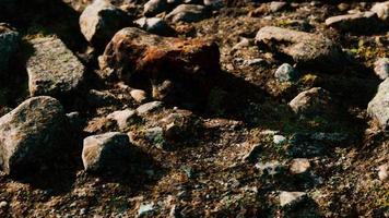 close-up da formação de pedras rochosas
