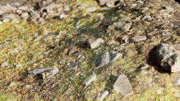 close up of rocky stones formation video