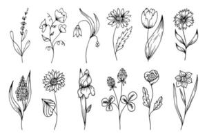 Flower icons set, black outline flowers in doodle style. Social media design, decorative elements